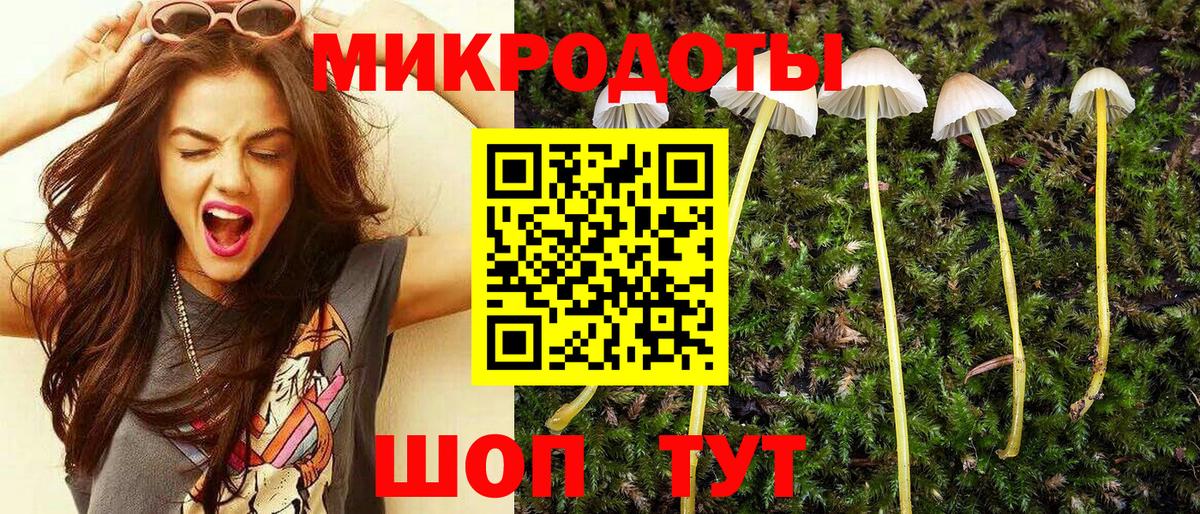 Галлюциногенные грибы прущие грибы  Вход с VPN  Вятские Поляны 